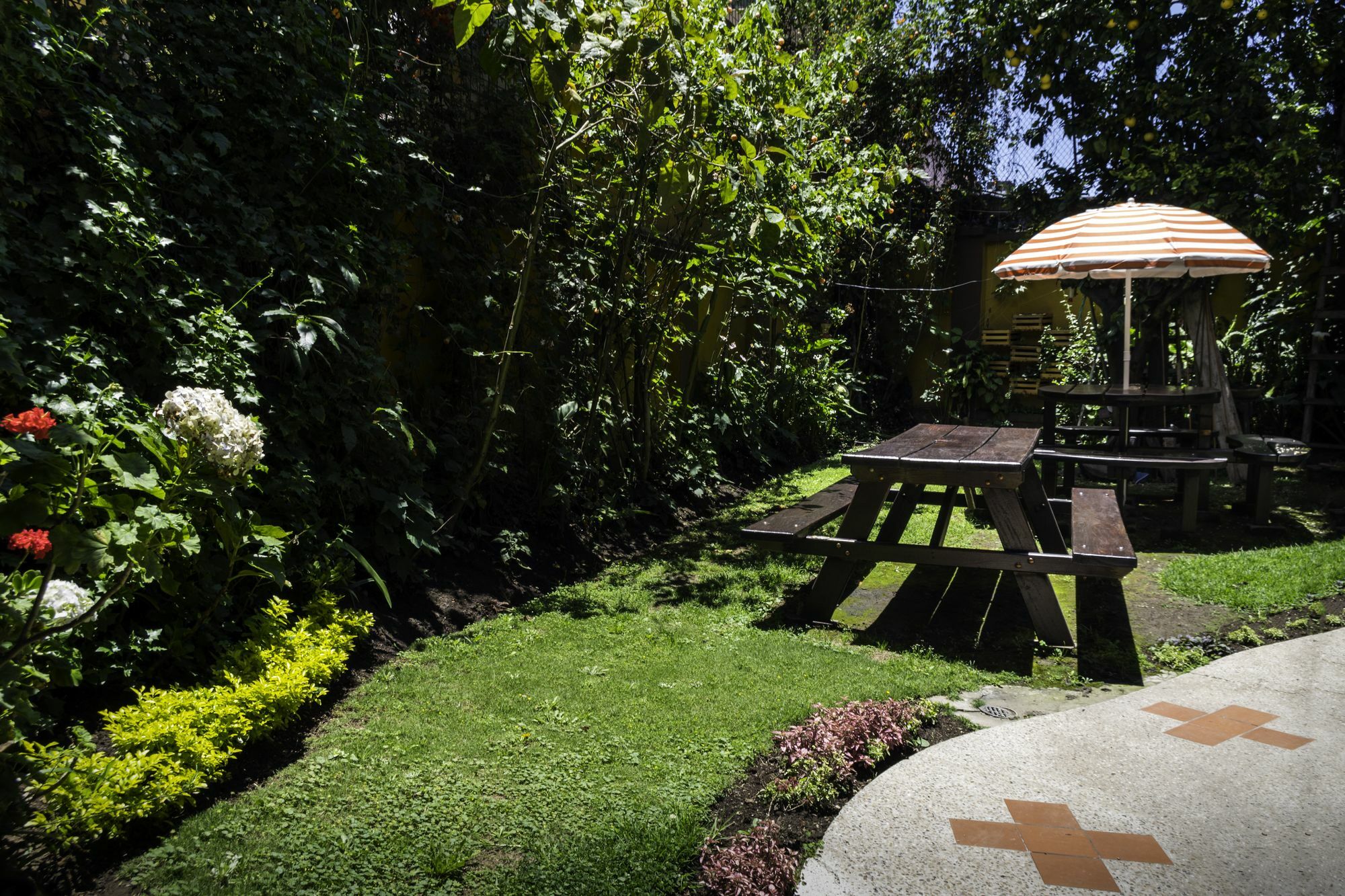 Arupo Bed And Breakfast Quito Exteriér fotografie
